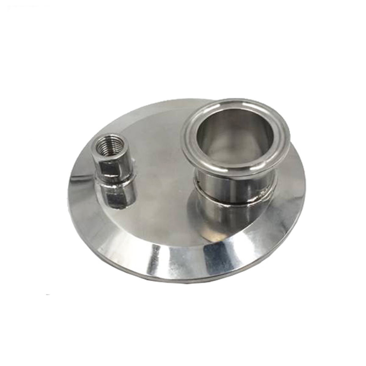 DIN 304/316L Stainless Steel Pipe Head Food Processing End Cap with Coupling